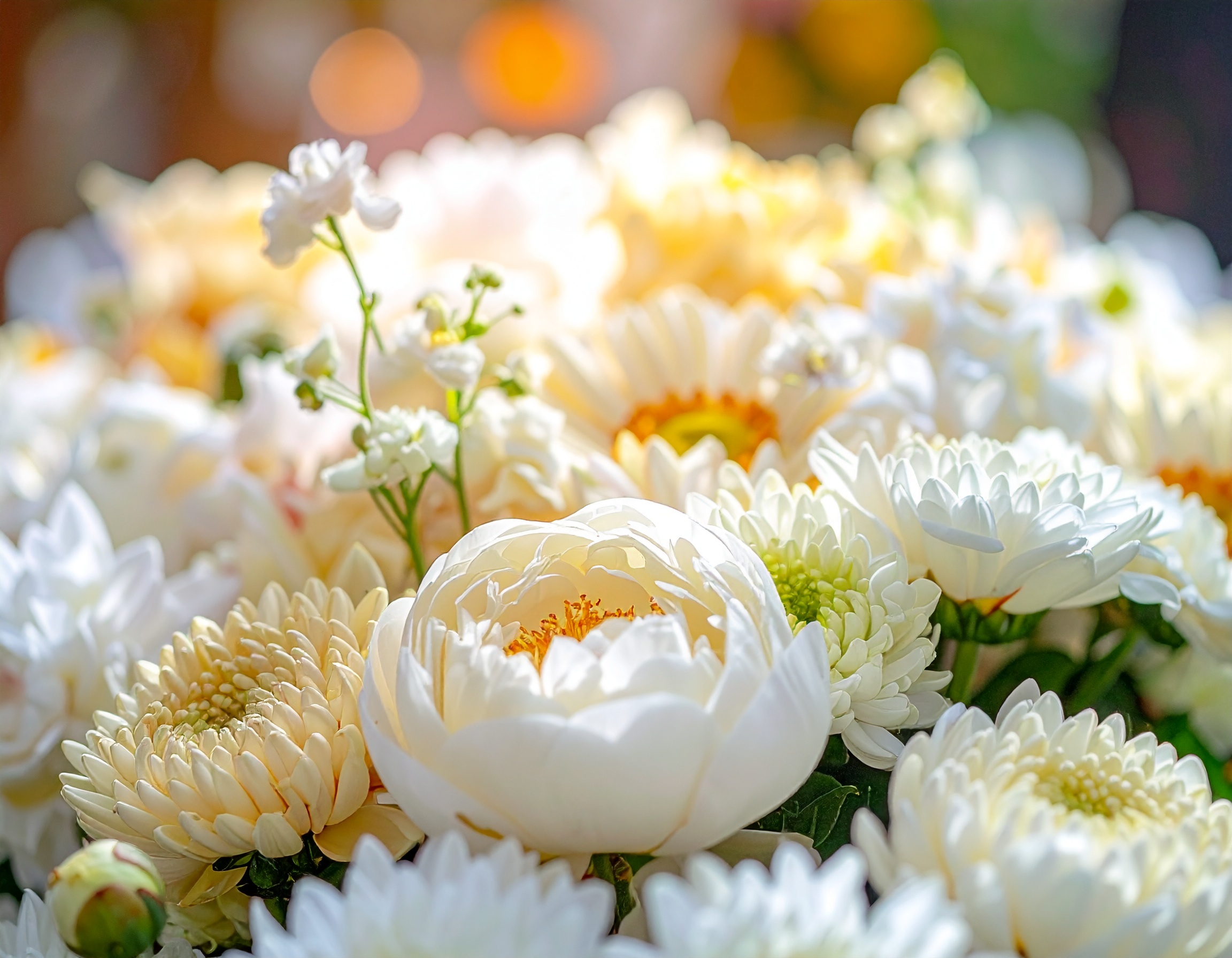 亡き夫へ贈る最後のラブレター｜感謝と愛を伝える葬儀スライドショー例文